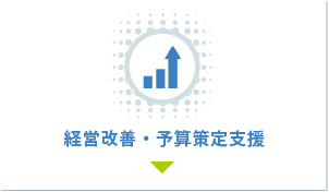 経営改善・予算策定支援